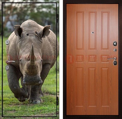 Металлическая дверь с фотопечатью носорога ДФ-31 в Сосновый Бор