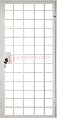 Белая металлическая решетчатая дверь ДР-2 в Сосновый Бор